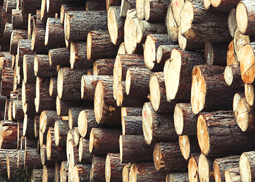 Wood residue repurposing